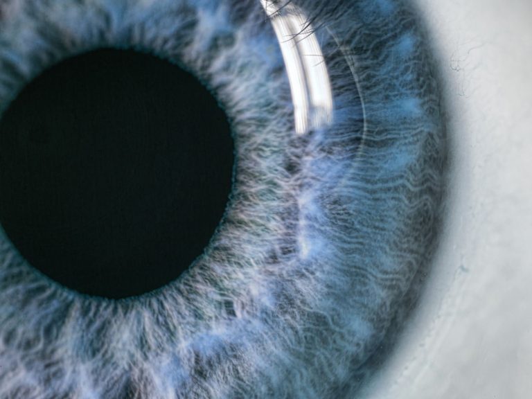 Image de fond de l'article "Observatoire"