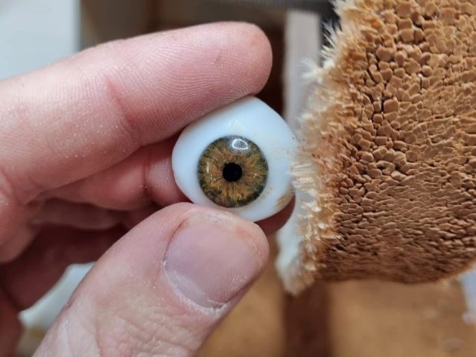 Image de fond de l'article "Observatoire"