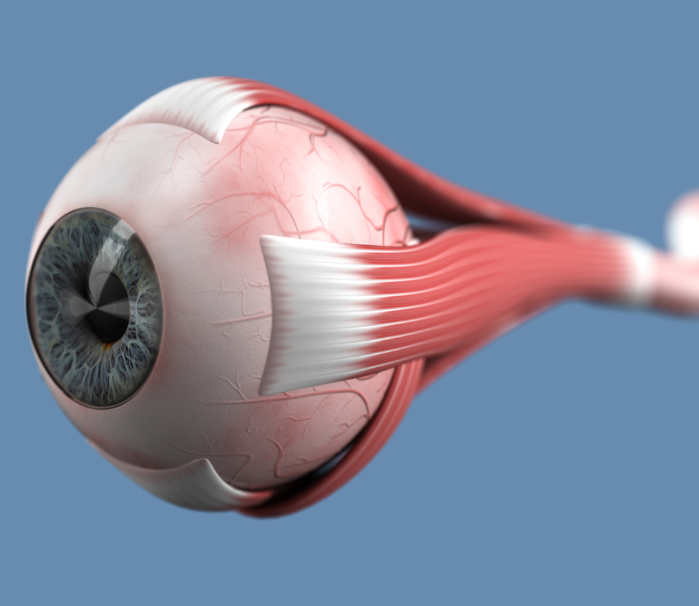 Image de fond de l'article "Observatoire"