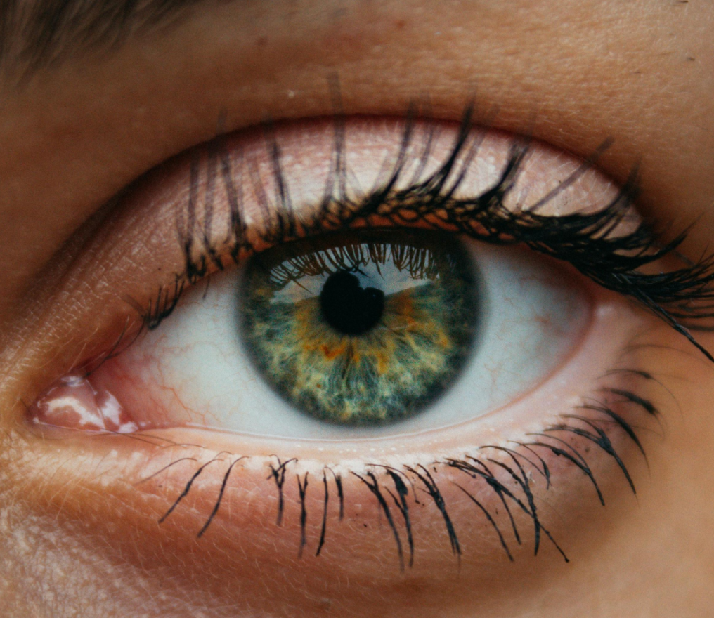 Image de fond de l'article "Observatoire"