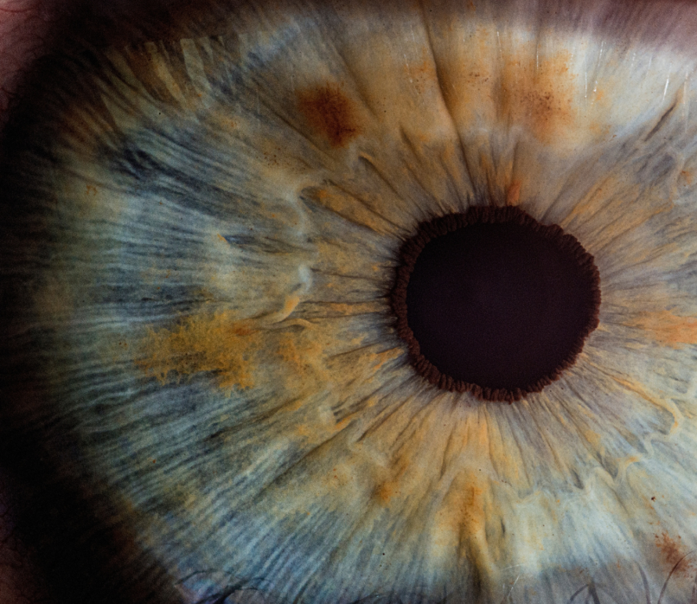 Image de fond de l'article "Observatoire"