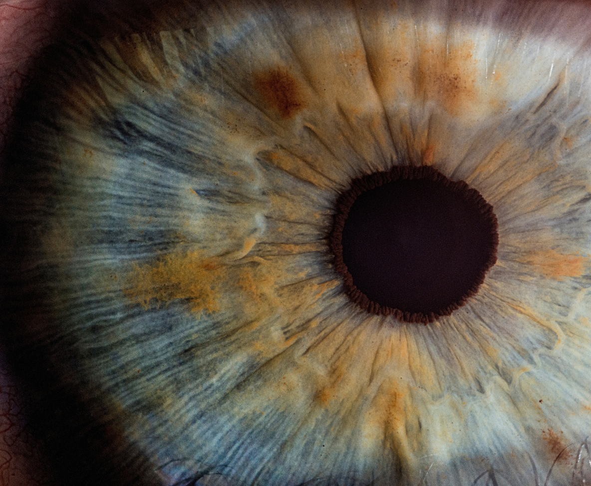 pupille de l'oeil