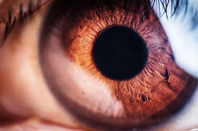 Image de fond de l'article "Observatoire"