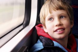 Image de fond de l'article "Observatoire"