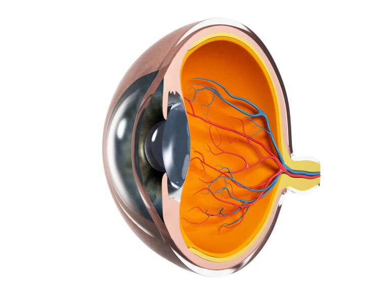 Image de fond de l'article "Observatoire"
