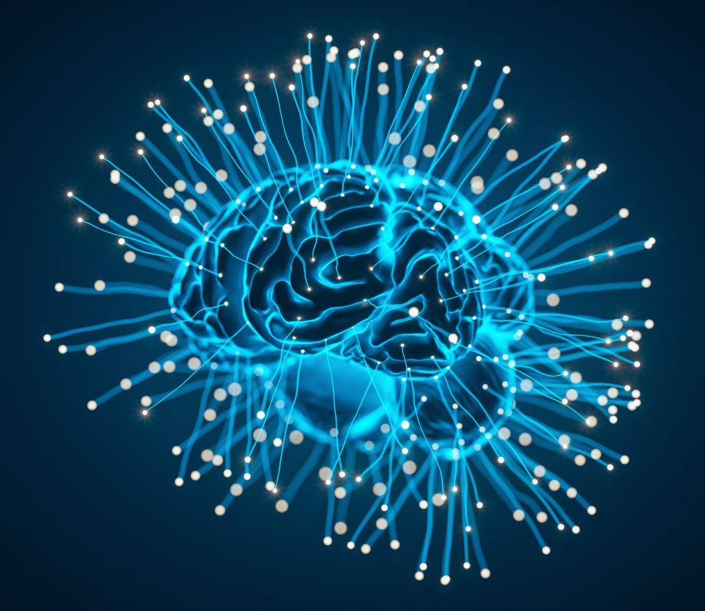 Image de fond de l'article "Observatoire"