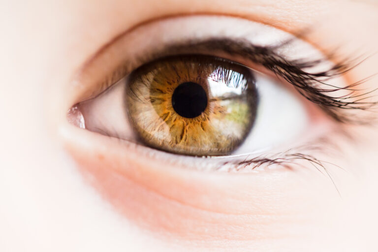 Image de fond de l'article "Observatoire"