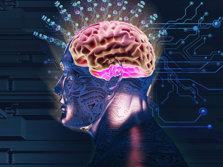 Image de fond de l'article "Observatoire"