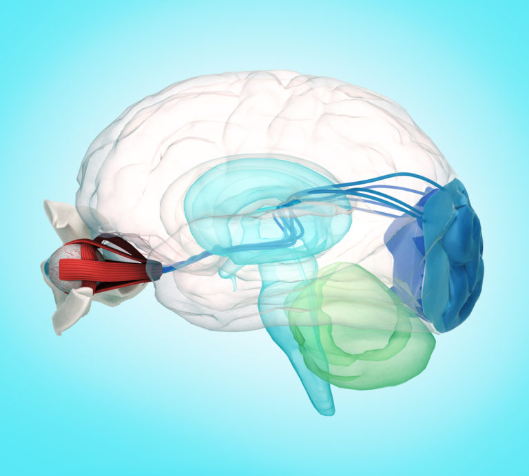 Image de fond de l'article "Observatoire"