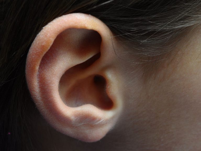 Image de fond de l'article "Observatoire"