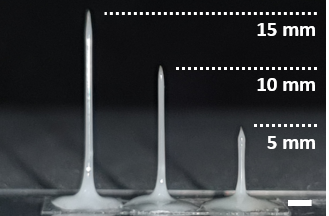 Image de fond de l'article "Observatoire"