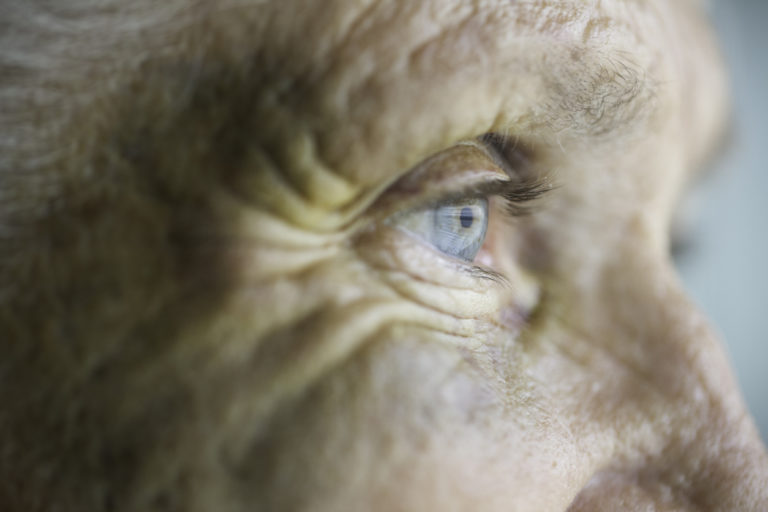 Image de fond de l'article "Observatoire"