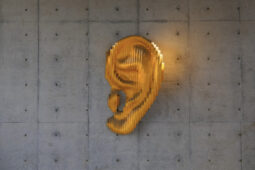 Image de fond de l'article "Observatoire"