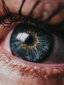 Image de fond de l'article "Observatoire"