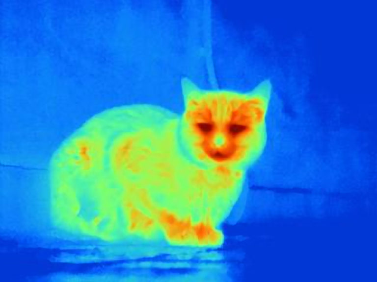 Image de fond de l'article "Observatoire"