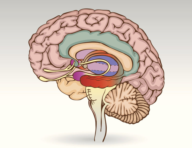 Image de fond de l'article "Observatoire"